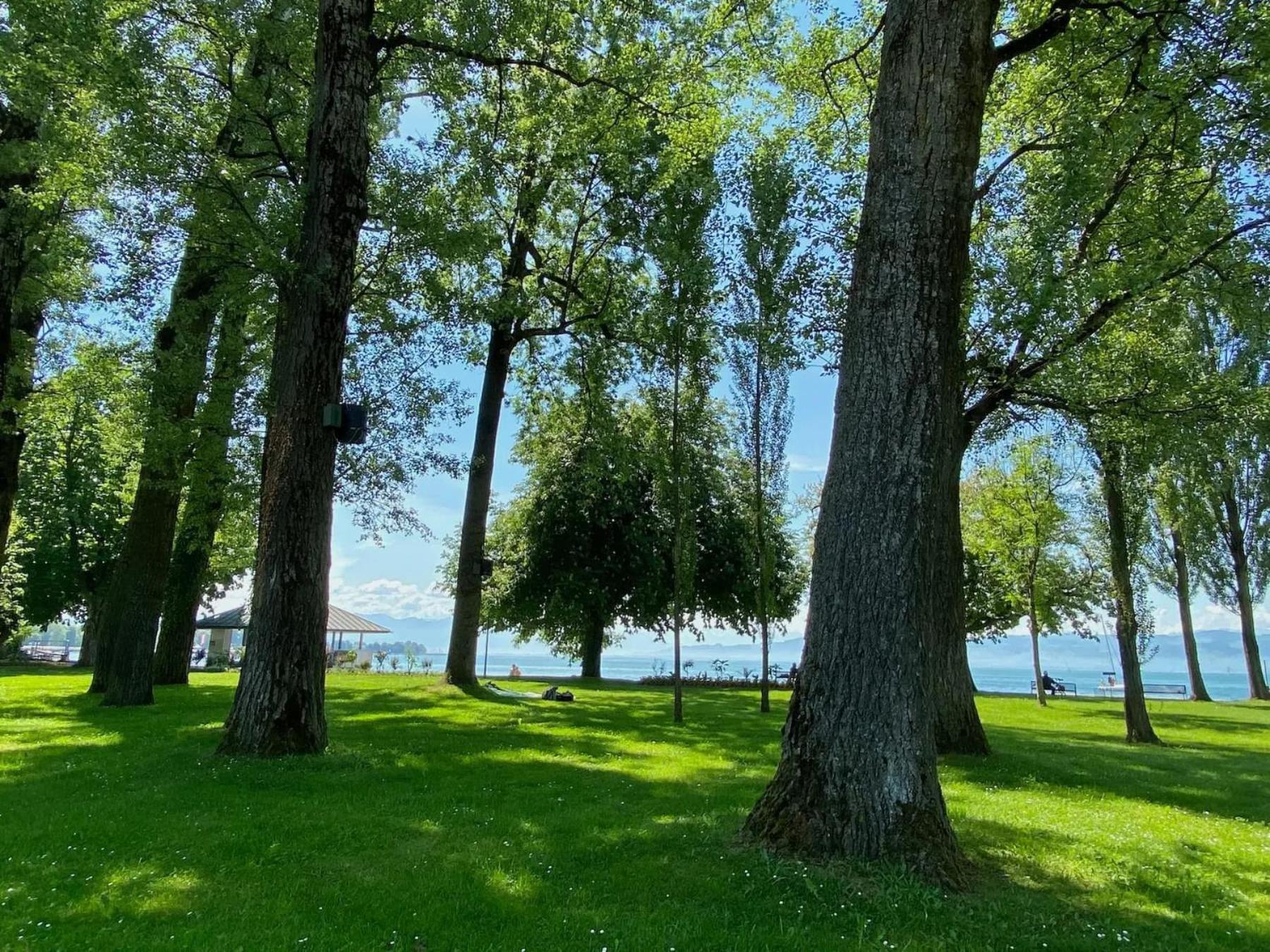 Ferienwohnung Alina Kressbronn am Bodensee Exterior foto