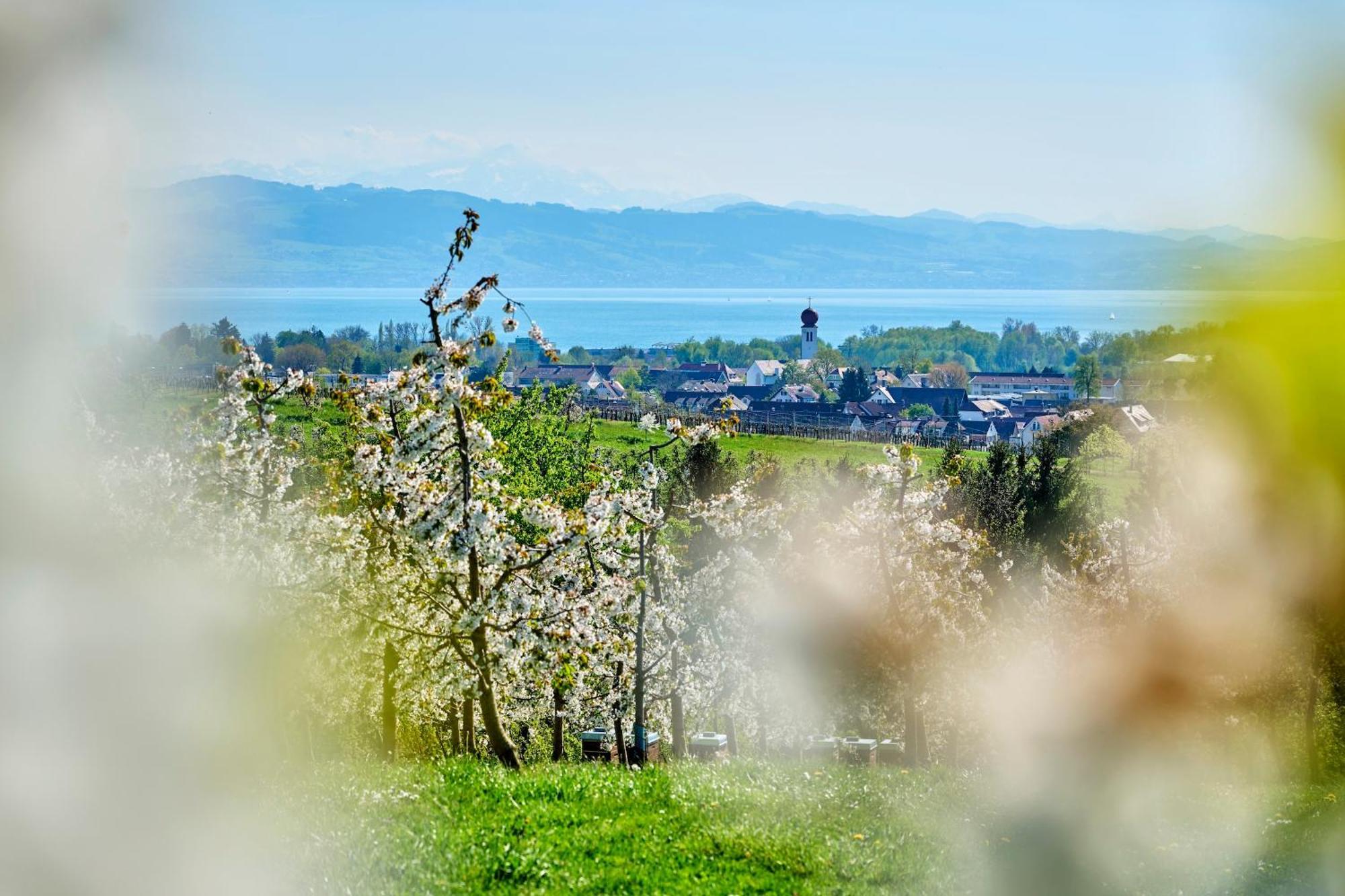 Ferienwohnung Alina Kressbronn am Bodensee Exterior foto