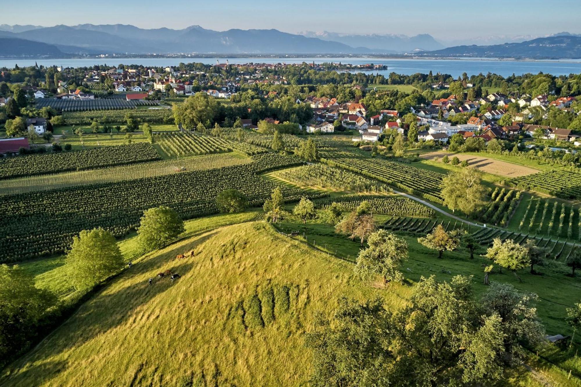 Ferienwohnung Alina Kressbronn am Bodensee Exterior foto